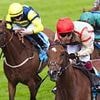 Robin Goodfellow's racing tips: Best bets for Saturday, June 7