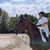 Équitation. Pierre-Antoine Saunier s’adjuge le challenge Pro 2 préparatoire