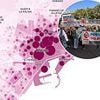 Map reveals the Spanish resorts and cities with the highest number of Airbnbs - including one where 85% of apartments are rentals