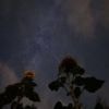 Wochenendtipps für Potsdam: Kosmisches und Komisches