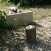 Macron condemns 'act of hatred' after tree memorial for murdered Jew is cut down