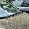 Waarom je niet nu naar de wasstraat hoeft voor pollen op je auto