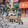 India claims its strikes inside Pakistan territory last week killed over 100 militants