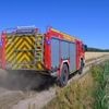 Großer Waldbrand in Brandenburg: Höchste Gefahrenstufe – Dorf muss evakuiert werden