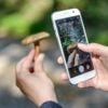 heise+ | Vom Sofa in die Natur: 16 Outdoor-Apps, die zum Bewegen motivieren
