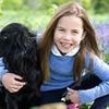Spaniels replace 'unhealthy' French bulldogs as UK's favourite dog breed