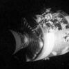 Watch: 'Houston, we've had a problem' says Jim Lovell