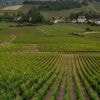 "Il y en a assez de nous faire porter la responsabilité" : pour limiter les effets de l'exposition aux pesticides, agriculteurs et riverains organisent leur cohabitation