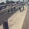 Terrifying moment tourists run for cover at Gran Canaria airport as Spanish police shoot rampaging knifeman dead after he threatened holidaymakers