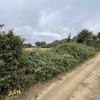 À Saint-Hilaire-de-Riez, le projet de boulodrome régional suscite encore des débats entre élus