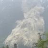 Watch: Moment a glacier collapses down Alps and onto village