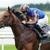 Robin Goodfellow's racing tips: Best bets for Friday, May 16