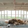 Groningen ziet in eigen AI-fabriek een ‘unieke kans’ op een nieuw begin