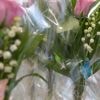 1er-Mai : offrir du muguet, une tradition pas très écologique