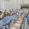 Brazil's JBS asks shareholders to overlook opposition and approve a US stock listing