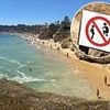 British tourists warned against grotesque beach habit that people say is 'bizarre'