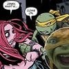 Teenage Mutant Ninja Turtles spark outrage over LGBT character who takes over from Raphael