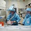US lab handling world's deadliest diseases is shut down after 'lover's spat' led to spiteful act
