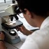 Lancement du programme « Choose CNRS », pour attirer en France les chercheurs menacés