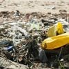 "Il faut un traité sur la production mondiale" : sur la côte atlantique, des bénévoles luttent contre la pollution au plastique et appellent à une meilleure régulation
