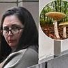 I could hear gasps in the courtroom as the 'mushroom poisoner' finally took the stand and revealed why she survived - when three others died: GUY ADAMS lays bare a lie by Erin Patterson even the prosecution hasn't mentioned