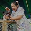 Thailand sets up safe spaces for pets whose owners fled border violence