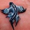 Spaans strand gesloten om drijvende blauwe draken