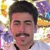 Saudi Arabian student, 20, stabbed to death outside apartments 'was on his third summer in Cambridge' and known as a 'nice kid'