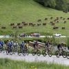 Crtiérium del Dauphiné 2022: horario, TV y dónde ver la carrera en directo online