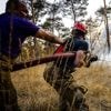 Natuurbrandrisico in groot deel van land omhoog door aanhoudende droogte