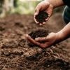 Die Krise unter unseren Füßen: Weniger Mikroben heißt mehr CO₂