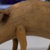Greffe d’organes : et si la solution pour la transplantation était dans le cochon ?