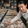 Huge Roman 'jigsaw' reveals 2,000-year-old wall paintings