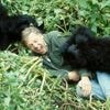 Icoon van natuurfilm dat per toeval op het scherm belandde: David Attenborough wordt 99
