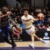 Basket. N1M : Fin de série pour le Cep Lorient qui s’incline face à Berck
