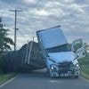 Quelque 250 millions d'abeilles s'échappent d'un camion aux Etats-Unis après un accident de la route