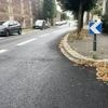 Pourquoi les feuilles mortes font-elles déjà leur retour en Bretagne ?