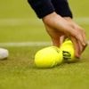 Wimbledon. Une partie des 55 000 balles utilisées deviennent des abris pour... les souris