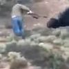 When animals fight back: The hunters killed by the very beasts they were hoping to slay and turn into trophies