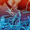 Experts make new recommendations on RSV and meningitis vaccines, but it's unclear what happens next