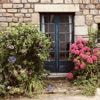 Quatre idées pour fleurir facilement vos plates-bandes avec des plantes faciles à vivre