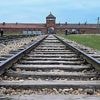 Vorfall in Auschwitz: Zwei Greifswalder Neuntklässler fliegen nach rechtsextremer Geste von der Schule