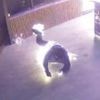 Moment man lights himself on fire in botched arson attack