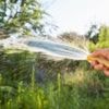 South East hosepipe ban affecting more than 1.4 million customers comes into force