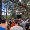 Arsenal of hiphop op Reggae Geel? Sommige bezoekers duiken liever ‘het boske’ in