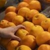 US inflation rises as tariffs drive up prices