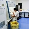 Epidémie de chikungunya à La Réunion : la vaccination s'est effondrée après des effets indésirables graves chez certaines personnes âgées