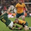 Rugby Championship. « C’est inacceptable » : l’Afrique du Sud a perdu pied contre l’Australie