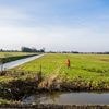 Op laagste punt van Nederland moet een compleet nieuw dorp verrijzen, nu dreigt het te verdrinken in miljoenenverlies