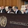 Crise climatique : on vous explique pourquoi la décision de la justice internationale sur l'aide aux pays pauvres, attendue mercredi, est cruciale